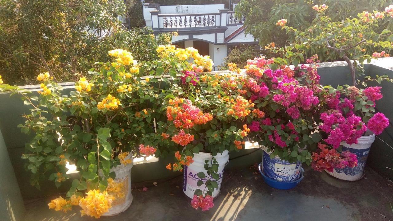 Heavenly Homestay Kochi Exterior foto