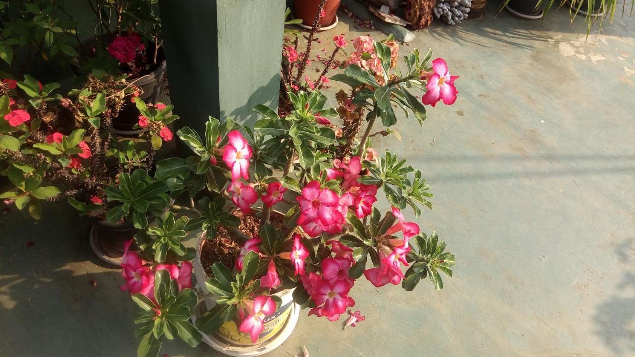 Heavenly Homestay Kochi Exterior foto